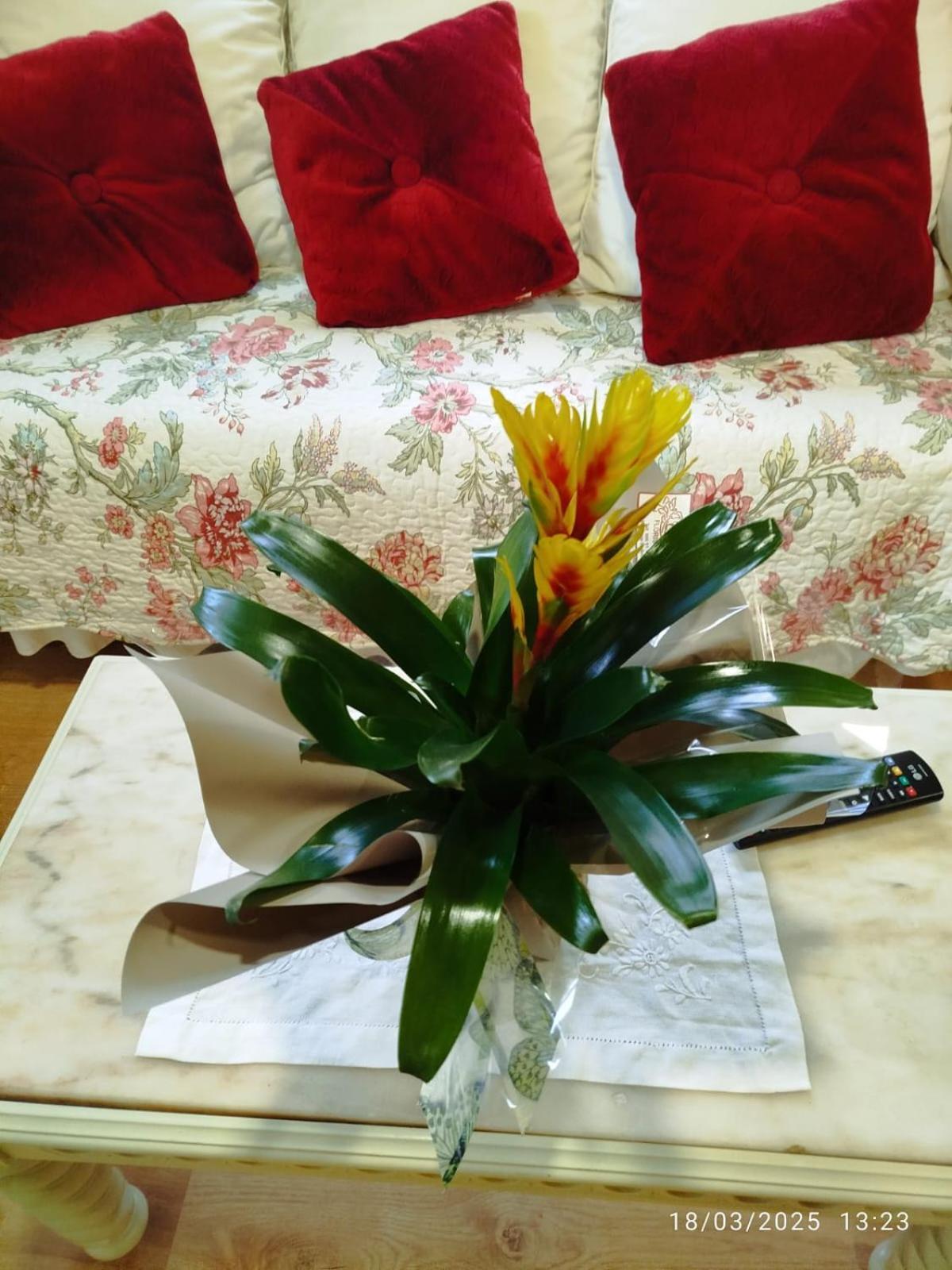O Apartamento Do Xanza, Ideal Para Parejas Adaptado Movilidad Reducida Meis ภายนอก รูปภาพ